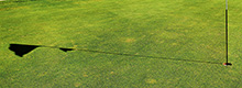 Anwenderbericht Deutscher Golf Verband