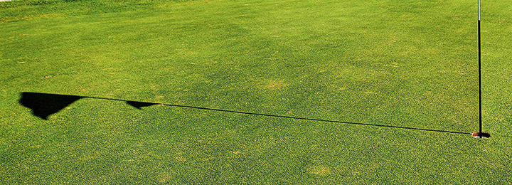 Anwenderbericht Deutscher Golf Verband