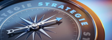 Strategie 2021 von HS - Hamburger Software