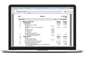 Screenshot vom Ausdruck des E-Bilanz Berichts in der Software HS E-Bilanz