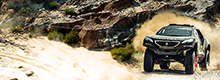 Rallye Dakar 2015