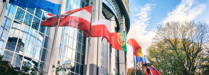 Länderflaggen vor EU-Parlamentsgebäude