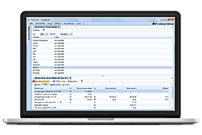 Screenshot der Umsatzsteuer-Voranmeldung in der Software HS Finanzwesen